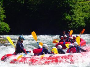 プランの魅力 リバーサーフィン の画像