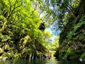 プランの魅力 ここが宮崎にあるとは、誰も信じられないはずです の画像
