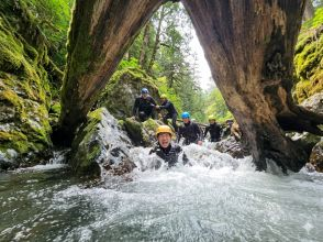 プランの魅力 日常では絶対に体験できない、本物の探検がここにあります！ の画像