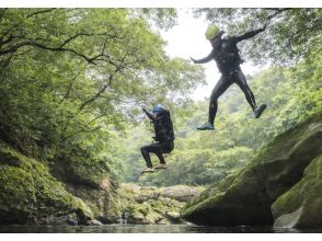 プランの魅力 絶景の渓谷に向かって、全身で飛び込む。この景色の中で跳んだ記憶は、一生消えません。 の画像