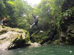 プランの魅力 「こんな場所が宮崎にあったのか」という驚き！ の画像