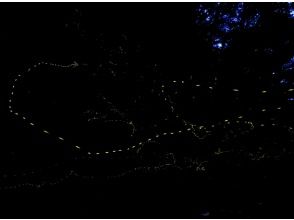 プランの魅力  の画像