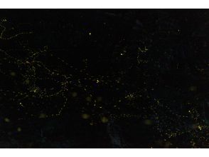 プランの魅力  の画像