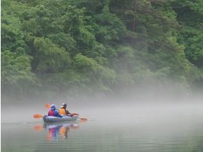 プランの魅力 【奇跡の川霧】幻想的な霧に包まれる体験 の画像