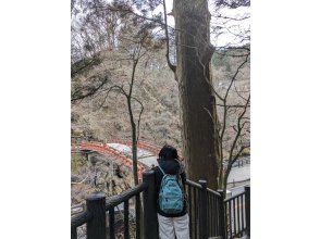 プランの魅力 神橋と太郎杉 の画像