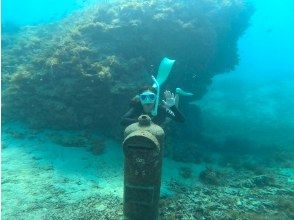 プランの魅力 無人島＆穴場スポットへご案内 の画像