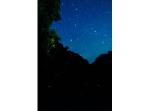 プランの魅力 輝く星に緑のホタ流（ホタル）星♪ の画像