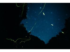プランの魅力 星空とホタルの組み合わせは本当に贅沢♪ の画像