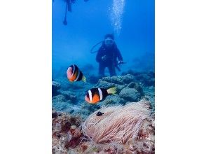 プランの魅力 Nemo on Yakushima เป็นสีดำ .. .. の画像