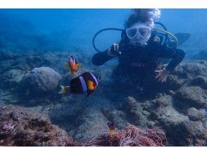 プランの魅力 海葵鱼很多！ !! の画像