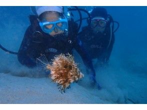 プランの魅力 也是稀有魚。 .. .. の画像