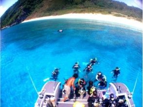 プランの魅力 ดำน้ำดูปะการังในสองถึงสามสถานที่! の画像