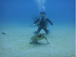 プランの魅力 ami美大島潛水執照課程1 の画像