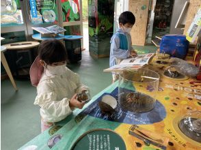 プランの魅力 Let's interact with the exhibits! の画像