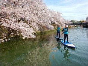 プランの魅力 Seasonal planning tours such as Sakura SUP の画像