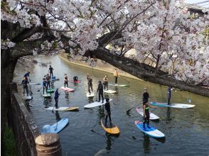 プランの魅力 お花見 の画像