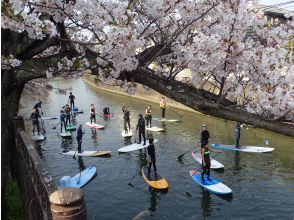 プランの魅力 Cherry Blossom Viewing 1 の画像