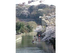 プランの魅力 Cherry Blossom Viewing 2 の画像