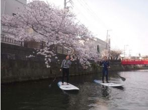 プランの魅力 Cherry Blossom Viewing 3 の画像