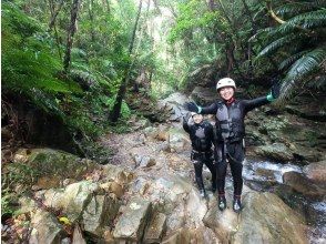 プランの魅力 Okinawa is a jungle の画像