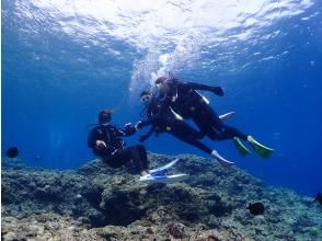 プランの魅力 专属导游陪同的特别私人旅游 の画像