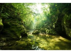 プランの魅力 更衣帳篷 の画像