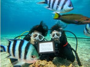 プランの魅力 專屬導遊陪同的特別私人旅遊 の画像