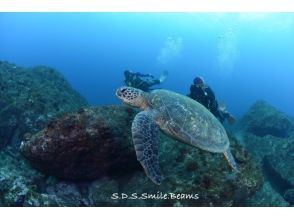 プランの魅力 พัดลมดำน้ำเรือส่วนตัวของตัวเองเป็นเจ้าของ 2 ที่นั่ง の画像