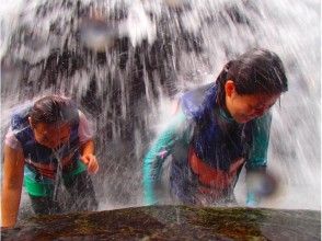 プランの魅力 滝打たれ の画像
