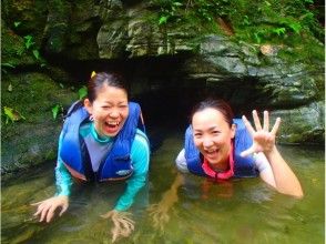 プランの魅力 がぉ~ の画像