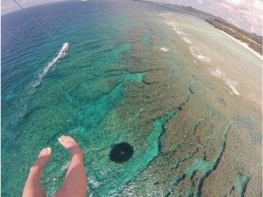 プランの魅力 享受成为鸟的感觉 の画像