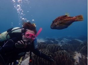 プランの魅力 Coral and fish の画像