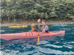 プランの魅力 ドックカヤック の画像