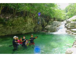 プランの魅力 潜水 の画像