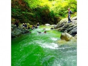 プランの魅力 流れに逆らって の画像