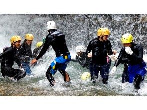 プランの魅力  の画像