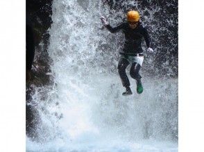 プランの魅力 飛び込み の画像