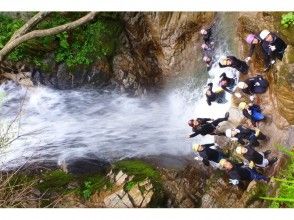 プランの魅力 しぶき大好き の画像