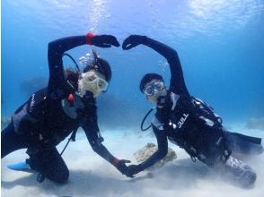 プランの魅力 海の中は別世界 の画像