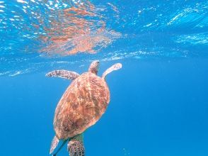プランの魅力 diving! の画像