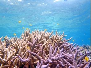 プランの魅力 Mysterious in the sea ☆ の画像