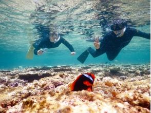 プランの魅力 You can also meet anemone fish ♪ の画像