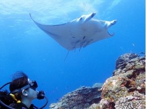 プランの魅力 如果幸運的話，您可能會遇到Manta Ray！ ?? の画像