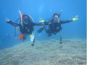 プランの魅力 最高の体験をあなたに！ の画像