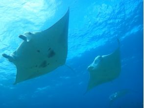 プランの魅力 An exciting adventure underwater! の画像