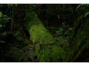 プランの魅力 精彩紛呈全登山 の画像