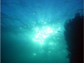 プランの魅力 신비한 감동을 부르는 青海島 블루 の画像