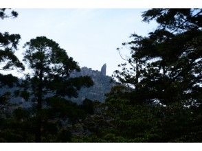 プランの魅力 山頂の巨岩が目的地 の画像