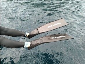 プランの魅力 Freediving is also possible の画像