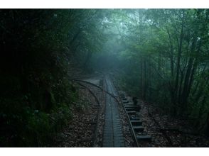 プランの魅力 朝露に濡れた森 の画像